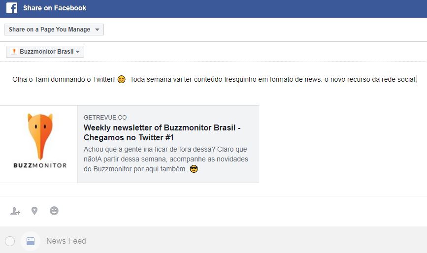 NewsletterTwitter_Tutorial