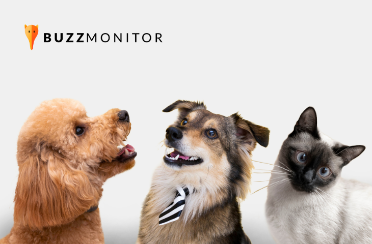 Mercado Pet: amor pelos animais e venda de itens lideram o engajamento no Instagram