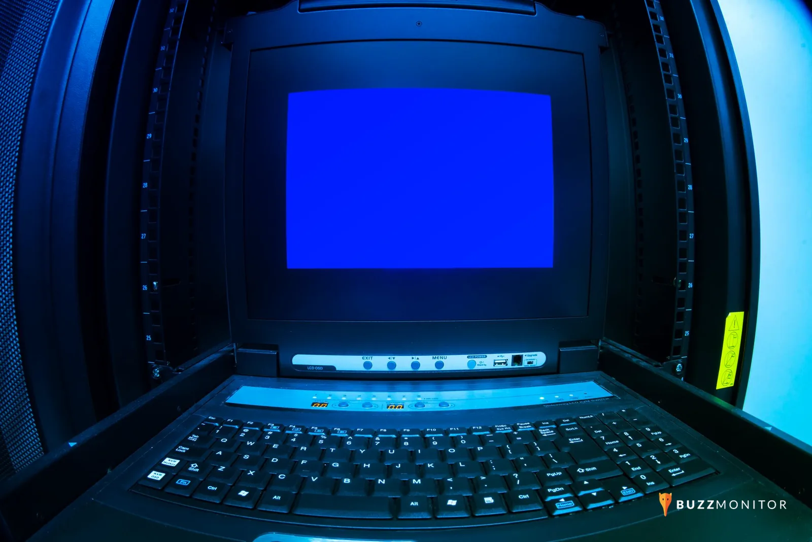 Equipa a analisar informação num portátil durante um processo de verificação de conteúdo digital
