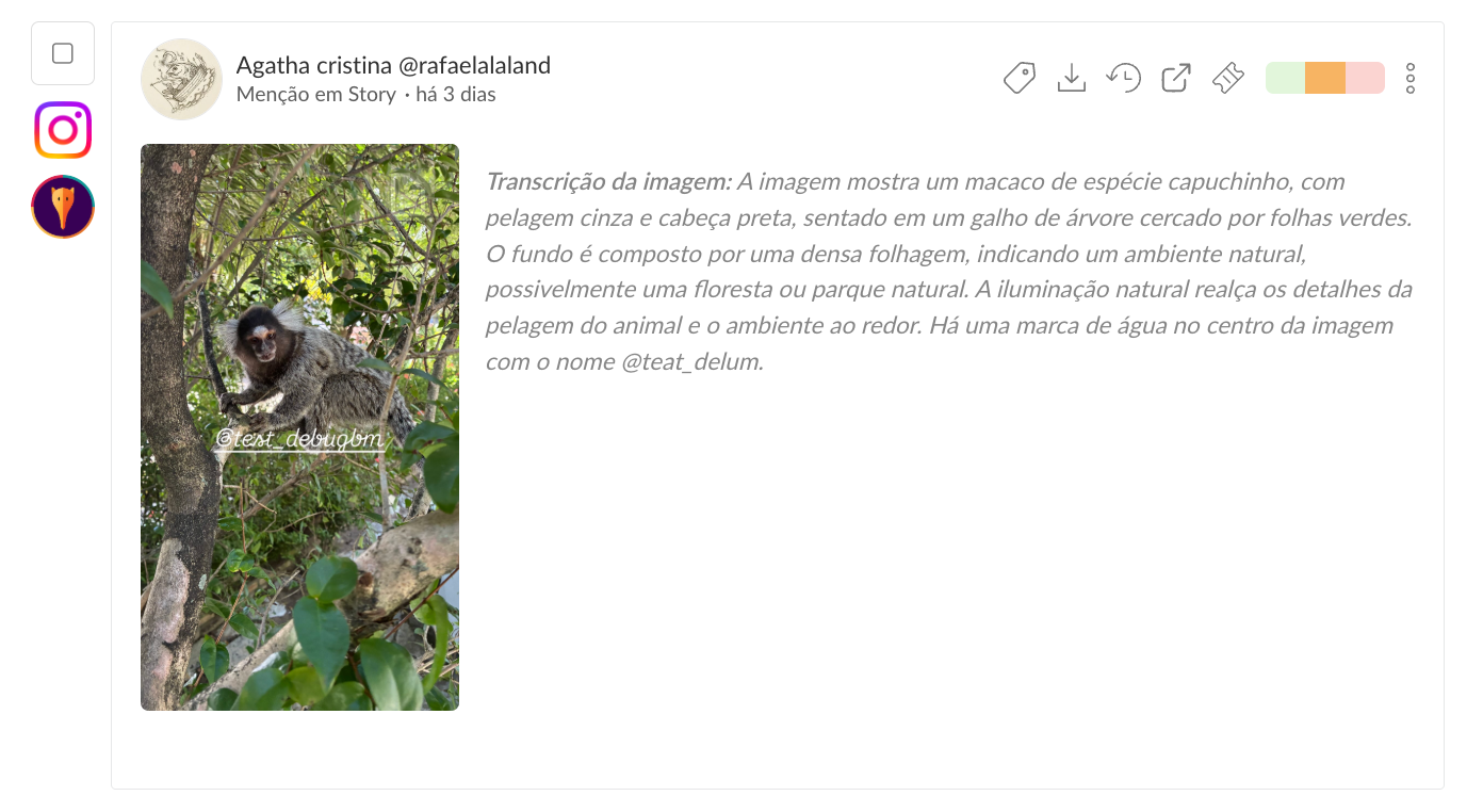 Avaliação de 5 estrelas da App Store coletada na Buzzmonitor, com o campo de resposta rápida logo abaixo