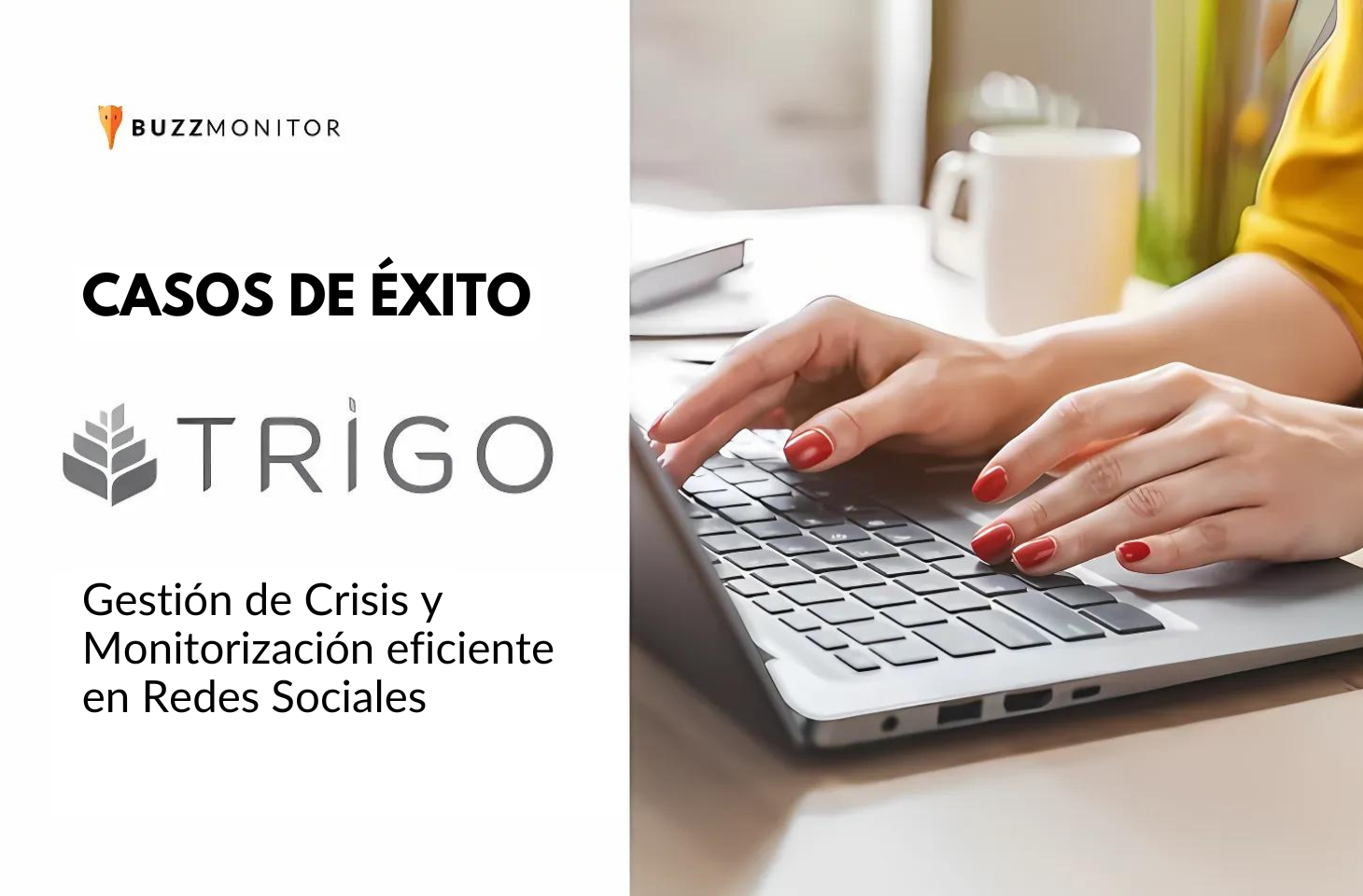 Caso Buzzmonitor y Grupo Trigo: gestión de crisis y monitorización eficiente
